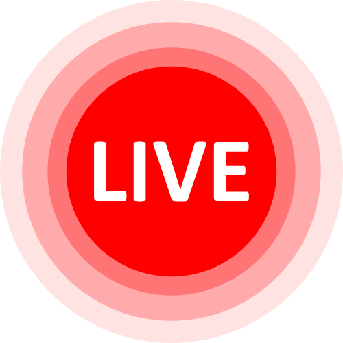 Live Hamster Cam